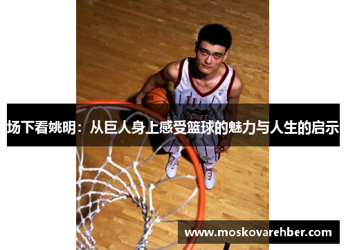 场下看姚明：从巨人身上感受篮球的魅力与人生的启示