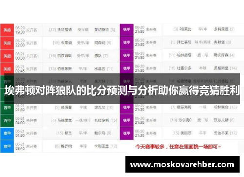 埃弗顿对阵狼队的比分预测与分析助你赢得竞猜胜利