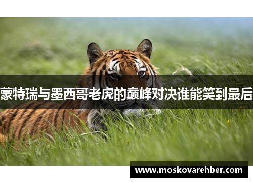蒙特瑞与墨西哥老虎的巅峰对决谁能笑到最后